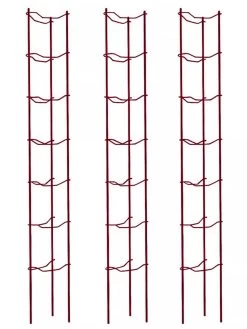 Tomato Ladders, Set Of 3 -Garden Care Shop 38185 002E psd