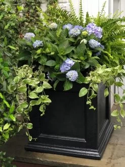 Fairfield Self-Watering Square Planter, 20” X 20” 13 Fairfield Self-Watering Square Planter, 20” X 20” -Garden Care Shop 39 618 205V tif