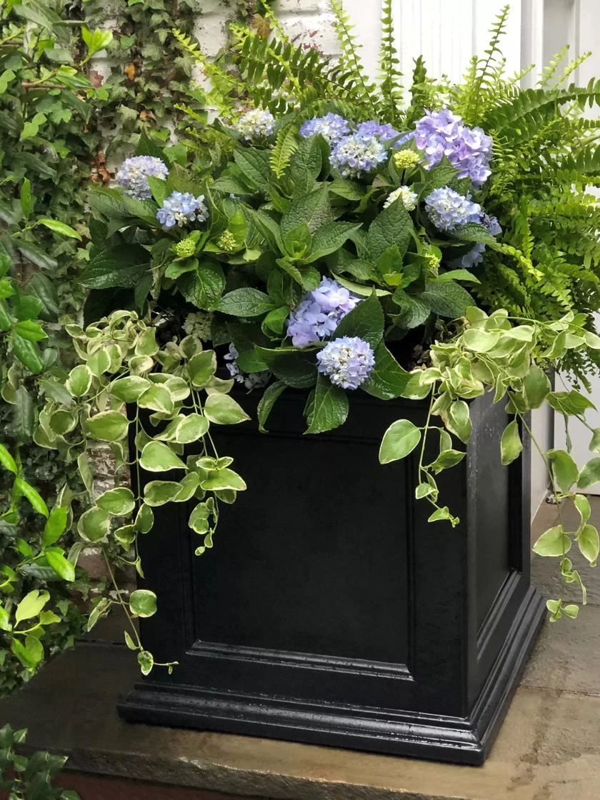 Fairfield Self-Watering Square Planter, 20” X 20” 6 Fairfield Self-Watering Square Planter, 20” X 20” - Image 4