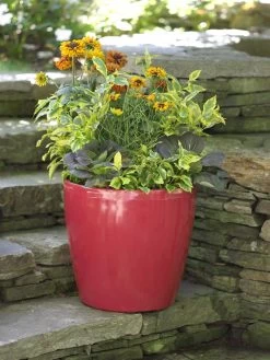 Viva Round Self-Watering Rolling Planter, 17.25” Diameter 11 Viva Round Self-Watering Rolling Planter, 17.25” Diameter -Garden Care Shop 39326 046 tif