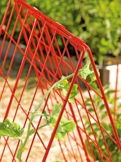 Deluxe Cucumber Trellis -Garden Care Shop 39806 542 tif