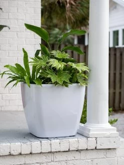 Viva Square Self-Watering Rolling Planter, 20" Diameter, Set Of 2 -Garden Care Shop 3 4 crop 8612930 0033 tif