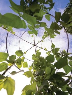 Jardin Tower 12 Jardin Tower -Garden Care Shop 3 4 crop 8612997 0033