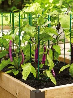 Pepper And Eggplant Stakes, Set Of 3 6 Pepper And Eggplant Stakes, Set Of 3 -Garden Care Shop 40308 2116 tif