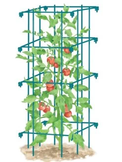 Tomato Cage, Single 8 Tomato Cage, Single -Garden Care Shop 8587039 TomatoCage BLUE tif