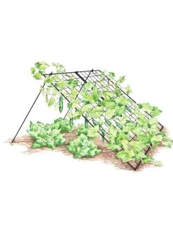 Garden Care Shop 19 Large Cucumber Trellis