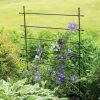 Jardin Ladder Trellis 1 Jardin Ladder Trellis -Garden Care Shop 8587107 1651 tif