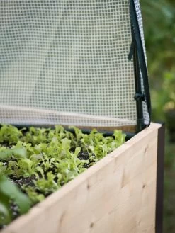 Planter Box, Frame And 2 Covers Kit, 2' X 4' -Garden Care Shop 8587631 265 tif