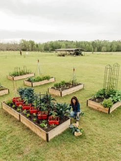 Deep Root Raised Beds, 14" Deep 4' Wide 12 Deep Root Raised Beds, 14" Deep 4' Wide -Garden Care Shop 8587813 505 tif