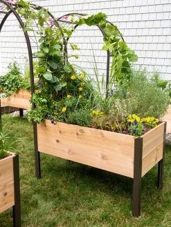 2’ X 4’ Arch Trellis For Planter Boxes 15 2’ X 4’ Arch Trellis For Planter Boxes -Garden Care Shop 8587823 0490