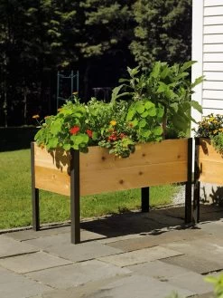 Elevated Planter Box, 2' X 4' -Garden Care Shop 8587823 704 tif
