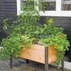 Elevated Planter Box, 2' X 4' -Garden Care Shop 8587823 8459 tif