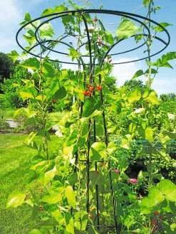 Essex Tuteur, 78" -Garden Care Shop 8587861 100 tif