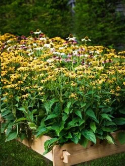 Farmstead Cedar Raised Garden Beds, 2' -Garden Care Shop 8588144 014V tif