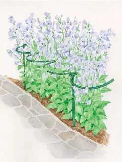 Tidy Path Supports -Garden Care Shop 8588403 003 1