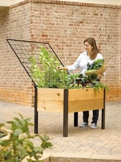 Elevated Planter Box And Space-Maker Pivoting Trellis Set, 2' X 4'
