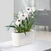 Lechuza® Delta Self-Watering Windowsill Planters -Garden Care Shop 8590298 03V tif