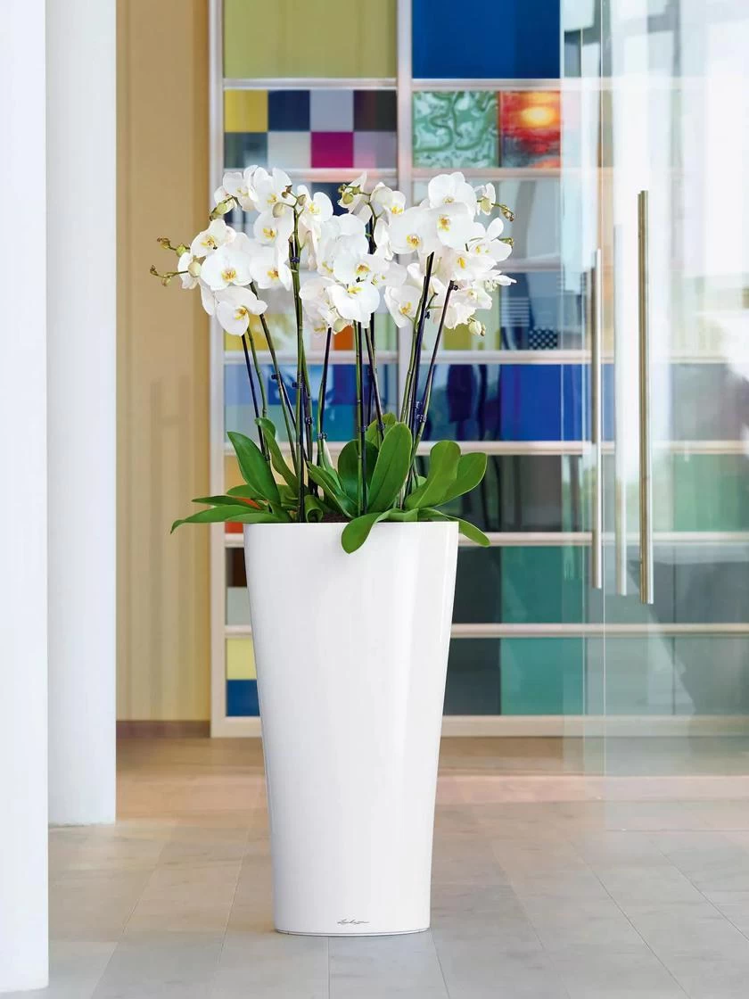 Lechuza® Delta Premium Self-Watering Planters 3 Lechuza® Delta Premium Self-Watering Planters