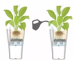 Lechuza® Delta Premium Self-Watering Planters 11 Lechuza® Delta Premium Self-Watering Planters -Garden Care Shop 8590299 07V tif