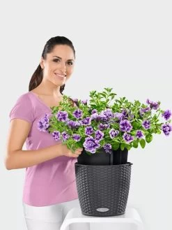 Lechuza® Nido Cottage Wicker Hanging Planter 8 Lechuza® Nido Cottage Wicker Hanging Planter -Garden Care Shop 8591154GT 006V tif