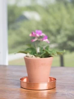 Extra Small Round Copper Plant Tray, 8" 14 Extra Small Round Copper Plant Tray, 8" -Garden Care Shop 8593528 4522 tif