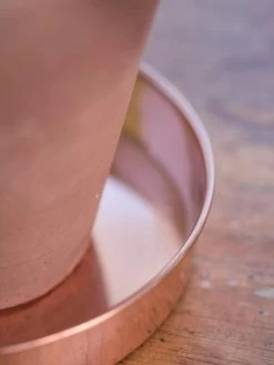 Extra Small Round Copper Plant Tray, 8" 11 Extra Small Round Copper Plant Tray, 8" -Garden Care Shop 8593528 4529 tif