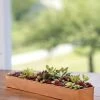 Rectangular Copper Plant Tray, 18"x4" -Garden Care Shop 8593532 4632 tif