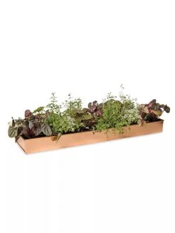 Rectangular Copper Plant Tray, 24" X 5" 11 Rectangular Copper Plant Tray, 24" X 5" -Garden Care Shop 8593533 2878 tif