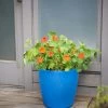 Viva Round Self-Watering Rolling Planter, 17.25” Diameter -Garden Care Shop 8594077 0087 tif