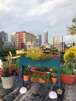 Demeter Mobile Planter Cart -Garden Care Shop 8594148 01CUST tif