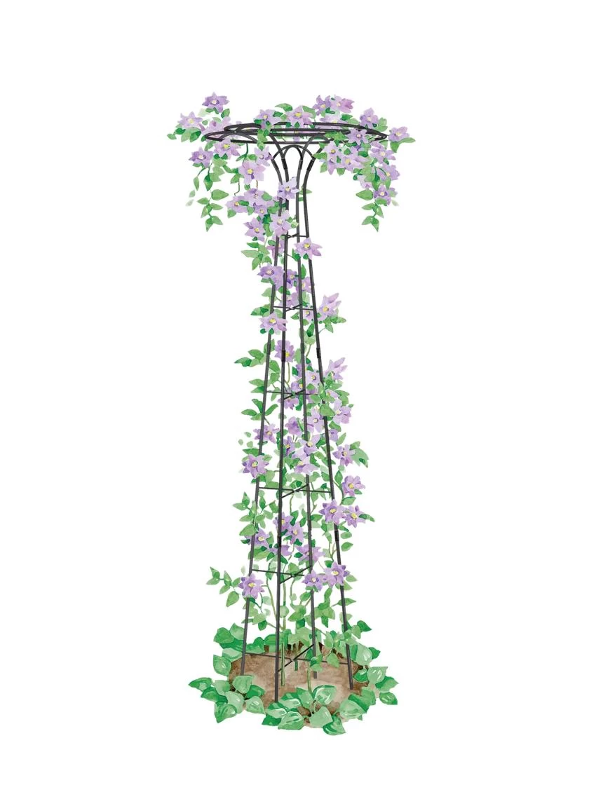 Essex Tuteur, 63" 3 Essex Tuteur, 63"