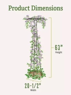 Essex Tuteur, 63" 9 Essex Tuteur, 63" -Garden Care Shop 8594162 1