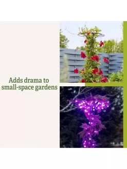 Essex Tuteur, 63" 13 Essex Tuteur, 63" -Garden Care Shop 8594162 3