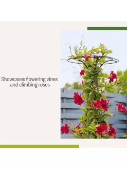 Essex Tuteur, 63" 12 Essex Tuteur, 63" -Garden Care Shop 8594162 4