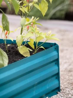 Demeter Corrugated Metal Raised Bed, 34" X 34" -Garden Care Shop 8594183 470 tif