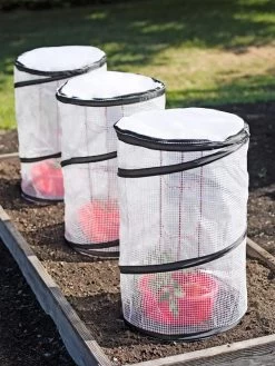 Garden Care Shop 14 Tomato TLC Kits, Set Of 3