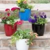 Viva Round Self-Watering Planter, 7" Diameter -Garden Care Shop 8595222 5302 tif