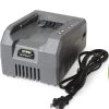 58V Battery Charger