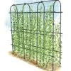 Titan Pea Tunnel 2 Titan Pea Tunnel -Garden Care Shop 8596275 0002 1 tif