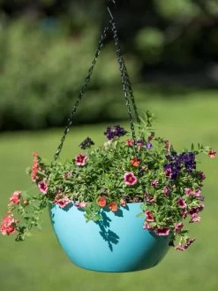 Viva Self-Watering Hanging Basket, 14" Diameter -Garden Care Shop 8596442 0859 tif