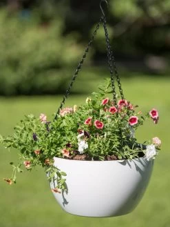 Viva Self-Watering Hanging Basket, 14" Diameter -Garden Care Shop 8596442 0864 tif