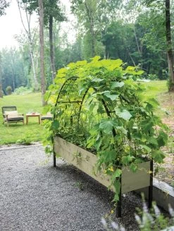 Self-Watering Elevated Planter Box, 2' X 8' -Garden Care Shop 8596760 0046 tif