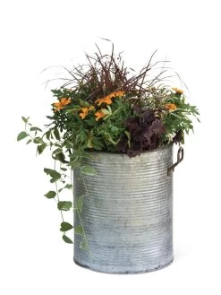 Galvanized Rim Planters -Garden Care Shop 8597443 1704 tif