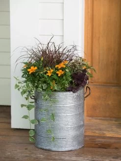 Galvanized Rim Planters -Garden Care Shop 8597443 1708 tif