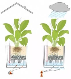 Lechuza® Cube Premium Planters -Garden Care Shop 8597506 05V tif