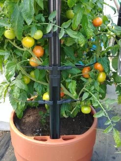 Gardener’s Victory Self-Watering Planter With Support System -Garden Care Shop 8598384 01EMP tif