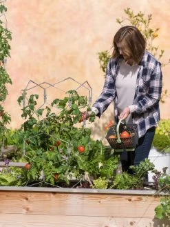 Gardener's Vertex Lifetime Tomato Cage 11 Gardener's Vertex Lifetime Tomato Cage -Garden Care Shop 8598426 0026 tif