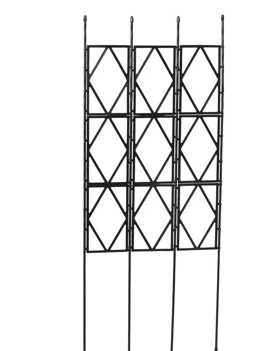 Diamond Trellis 4 Diamond Trellis - Image 2