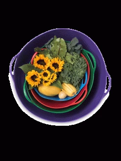 Colorful Tubtrug, 7 Gallon 7 Colorful Tubtrug, 7 Gallon -Garden Care Shop 8599088 20GalTubTrug gif