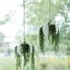 Exaco Euro Hanging Planters, Set Of 2 2 Exaco Euro Hanging Planters, Set Of 2 -Garden Care Shop 8599179 01V tif